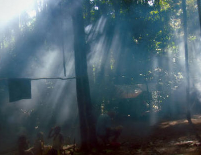 Song from the Forest