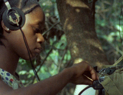 Concerning Violence