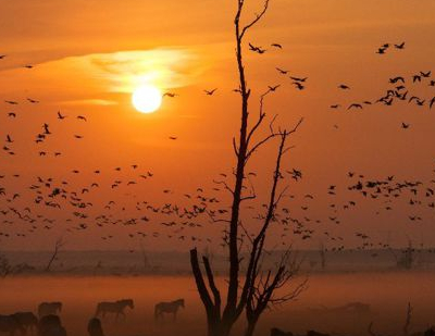 Die neue Wildnis - Große Natur in einem kleinen Land