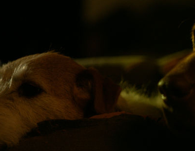 Underdog