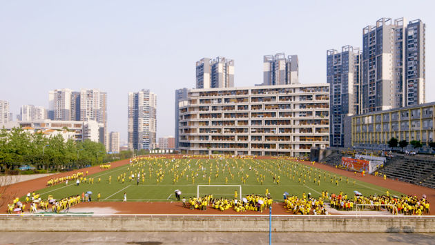 The Human Scale The Human Scale