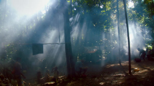 Song from the Forest Song from the Forest
