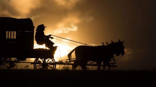 The Homesman The Homesman