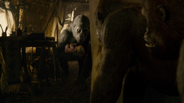 Legend of Tarzan Legend of Tarzan
