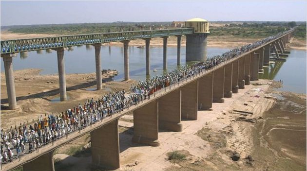 Millions Can Walk Millions Can Walk