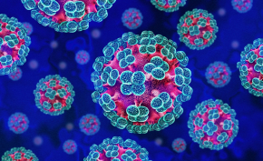 Das Hantavirus-Narrativ: Die Rückkehr des Drehbuchs der Angst Das Hantavirus-Narrativ: Die Rückkehr des Drehbuchs der Angst